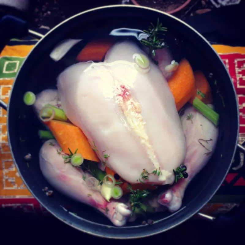 Chicken stock, before cooking